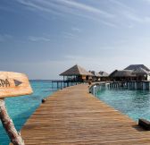 Maledivy-Coco-Bodu-Hithi-29