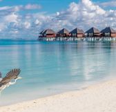 Maledivy-Sun-Siyam-Olhuveli-Maldives-4