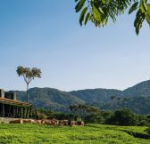 Rwanda-One_Only-Nyungwe-House-2a