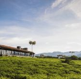 Rwanda-One_Only-Nyungwe-House-4