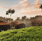 Rwanda-One_Only-Nyungwe-House-5