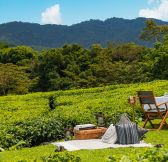 Rwanda-One_Only-Nyungwe-House-6