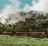 Rwanda-One_Only-Nyungwe-House-7