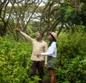 Tanzanie-Ngorongoro-Wilderness-Collection-Ngorongoro-5