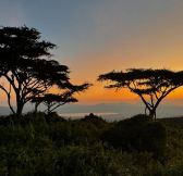 Tanzanie-Ngorongoro-Wilderness-Collection-Ngorongoro-8