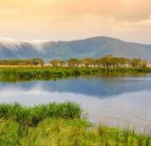 Tanzanie-Ngorongoro-Wilderness-Collection-Ngorongoro-15