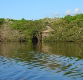 Brazilie-Amazonie-Juma-Lodge-2