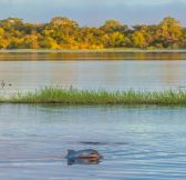 Brazilie-Amazonie-Juma-Lodge-2d