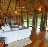 Brazilie-Amazonie-Juma-Lodge-22