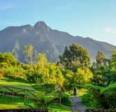 Rwanda-Wilderness-Sabyinyo-Silverback-Lodge-4a