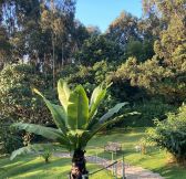 Rwanda-Wilderness-Sabyinyo-Silverback-Lodge-8