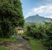 Rwanda-Wilderness-Sabyinyo-Silverback-Lodge-9