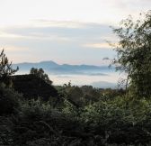 Rwanda-Wilderness-Sabyinyo-Silverback-Lodge-18
