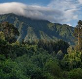 Rwanda-Wilderness-Sabyinyo-Silverback-Lodge-19b