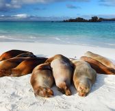Ekvador-Galapagy-Galapagos-Explorer-Andbeyond-superior-view-suite-31