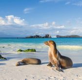 Ekvador-Galapagy-Galapagos-Explorer-Andbeyond-superior-view-suite-32