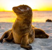 Ekvador-Galapagy-Galapagos-Explorer-Andbeyond-superior-view-suite-36