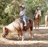 Recko-Grecotel-Luxme-Kos-Imperial-16