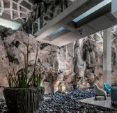 ROYAL HIDEAWAY CORALES SUITES 19