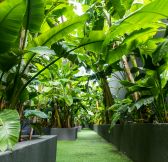 TURECKO - MAXX ROYAL KEMER 105