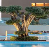 AMADA COLOSSOS RESORT