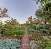 QUINTA SPLENDIDA - 3