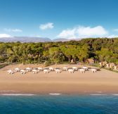 BIJAL - beach