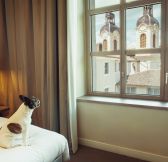 INTERCONTINENTAL LYON - HOTEL DIEU 23