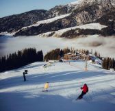 RAKOUSKO - HOLZHOTEL FORSTHOFALM 2