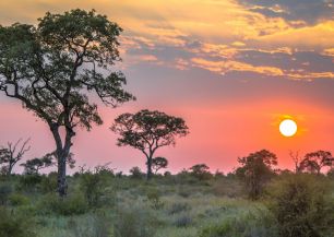 GOLF JAR - JOHANNESBURG + KRUGER PARK