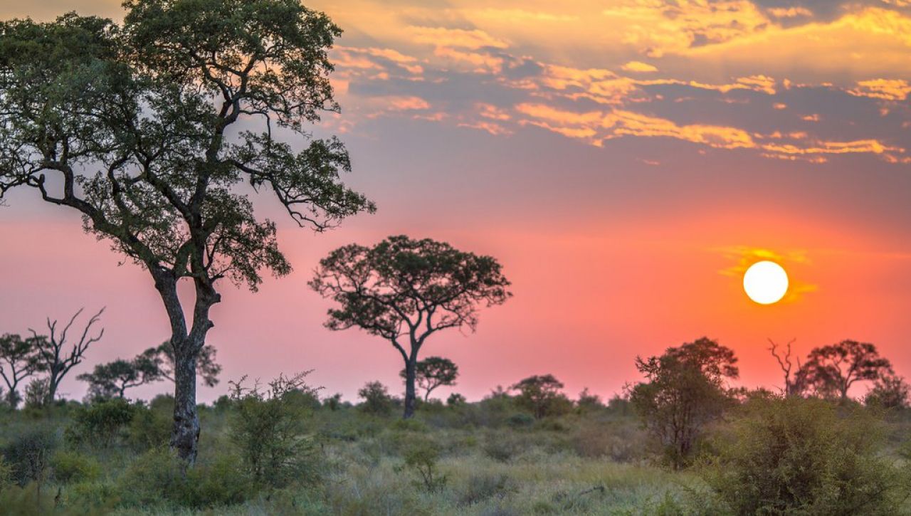 GOLF JAR - JOHANNESBURG + KRUGER PARK 