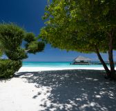 CORA CORA MALDIVES - Landcape 9