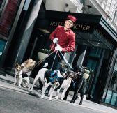 RAKOUSKO - hotel Sacher Wien - Sacher Pets