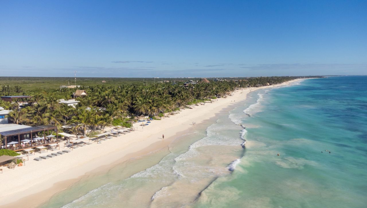 LA ZEBRA TULUM *****