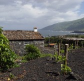 HOUSES IN PICO