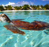 LE MERIDIEN BORA BORA